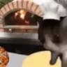 CATBEMAKINGPIZZA emote