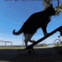 Skating