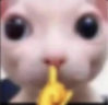 shh emote