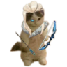 sovaCat emote