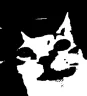 WTF emote