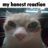 MyHonestReaction emote