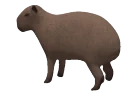 capybara emote