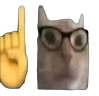 #quiz emote
