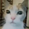 nuh emote
