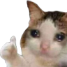 catOkay emote