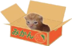 RobertBox emote