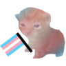 RobertTrans emote