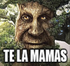 TELAMAMAS emote