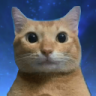NicePortrait emote