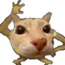 dosepot