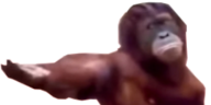 GIVE emote