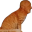 catFinger