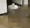 CatLag emote