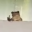 frogMiddleFigner