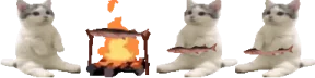 CatCookingJoelOnACampFireWithHisFriends emote