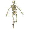 RUN emote