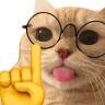 catNerd emote