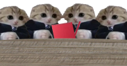 basegMeeting emote