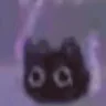 WOO emote