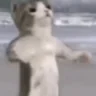 fight emote