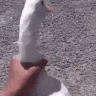 Stroke emote