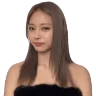 twiceNOPERS emote