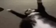 slowjiggling emote