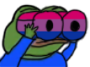 biNOCULARS emote