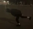 SwanDance emote
