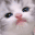 catLick