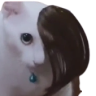 Emow emote