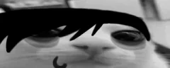 plink-182 emote