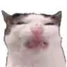eww emote