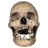 SKULL emote