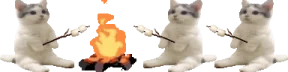 catsittingverycomfortablearoundacampfirewithitsfriendswithmarshmallows emote