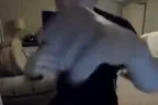 boxing emote