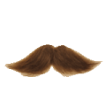 wąsik emote