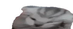 Asvozes emote