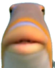 fishStare emote