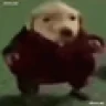 WalkDog emote