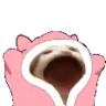 Blankies emote