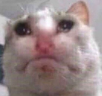 emeanie emote