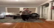 VerhulstPls emote