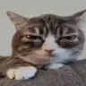 Tired emote