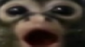:00 emote