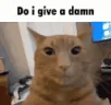 DOIGIVEADAMN emote