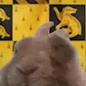 HufflepuffVibe emote