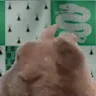 SlytherinVibe emote