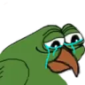 birdgeCry emote